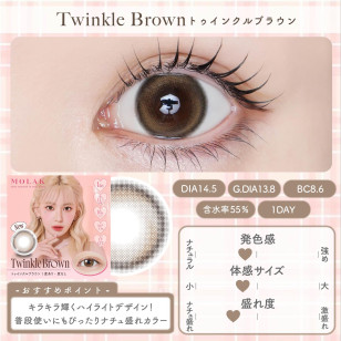 MOLAK 1day Twinkle Brown モラク ワンデー トゥインクルブラウン